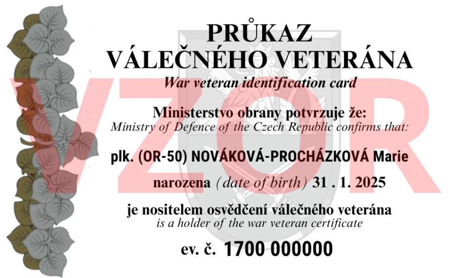 Vzor