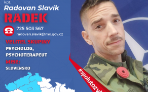 Slavík